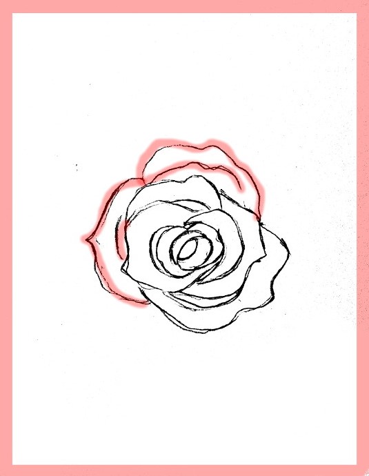 535x690 How To Draw Roses - How To Shade A Rose Drawing