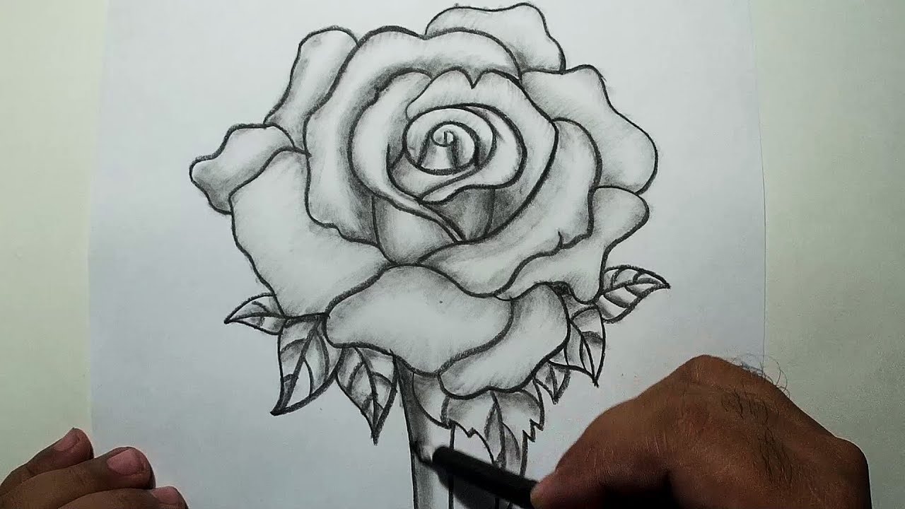 1280x720 How To Draw A Rose Pencil Drawing And Shading - How To Shade A Rose Drawing