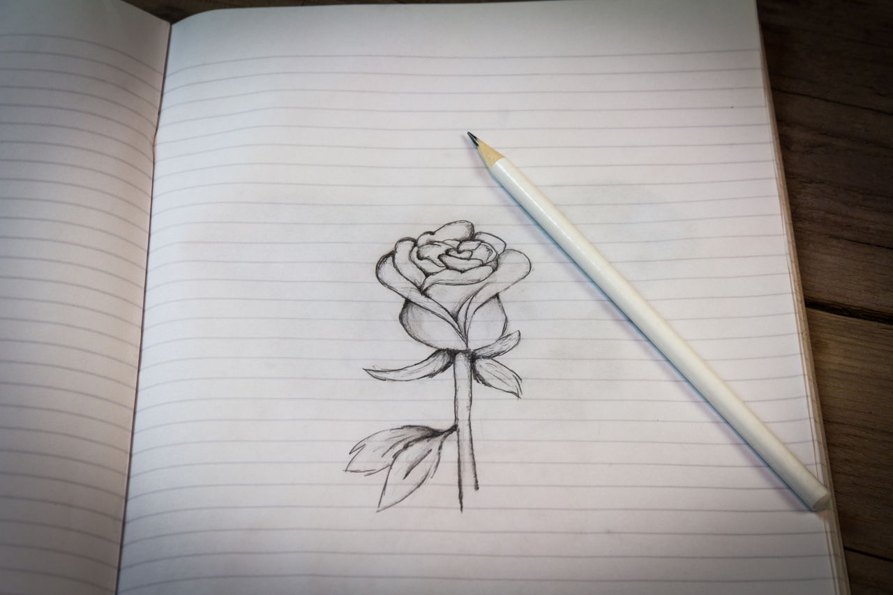 1280x853 How To Draw Roses Step - How To Shade A Rose Drawing