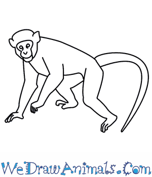 300x350 How To Draw A Monkey - Howler Monkey Drawing