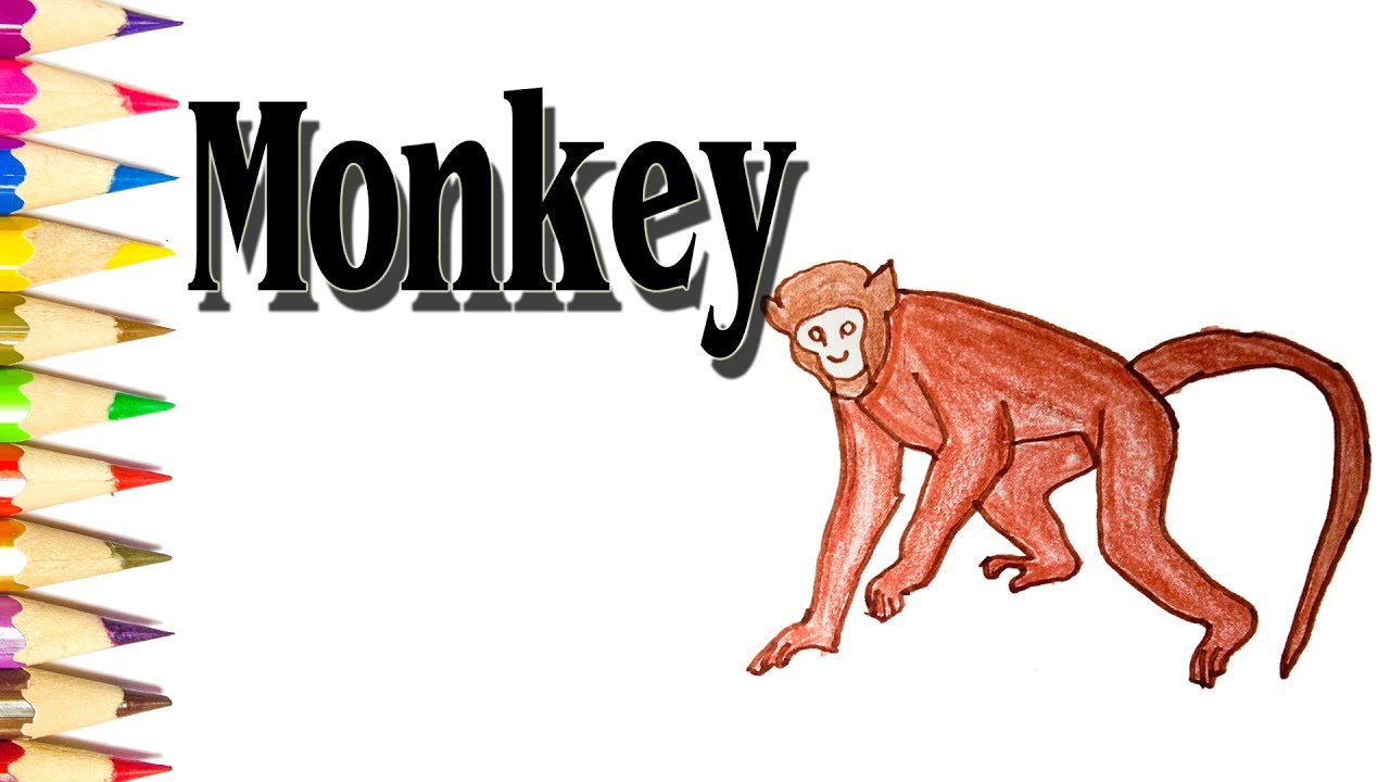 1280x720 How To Draw A Howler Monkey - Howler Monkey Drawing