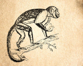 340x270 Howler Monkey Etsy - Howler Monkey Drawing