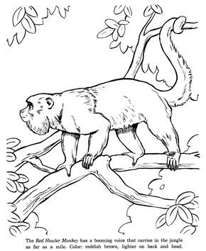 290x354 Red Howler Monkey Drawing And Coloring - Howler Monkey Drawing