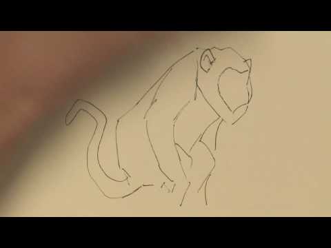 480x360 Drawing Illustration How To Draw A Howler Monkey - Howler Monkey Drawing