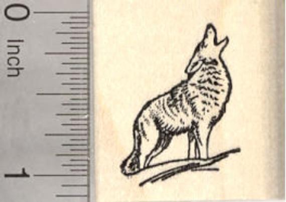570x402 Howling Coyote Rubber Stamp Wildlife Small Wood Etsy - Howling Coyote Drawing