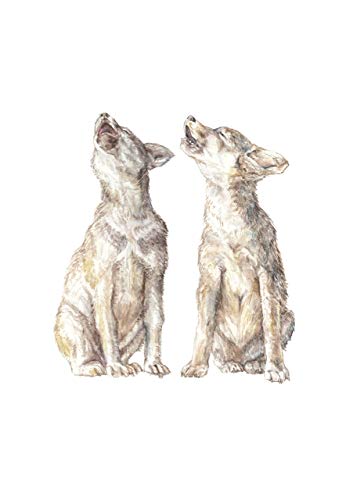 364x500 Howling Coyotes Wolf Cub Watercolor Handmade - Howling Coyote Drawing