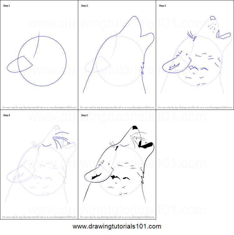 751x755 How To Draw A Wolf Howling Printable Step - Howling Wolf Drawing Tutorial