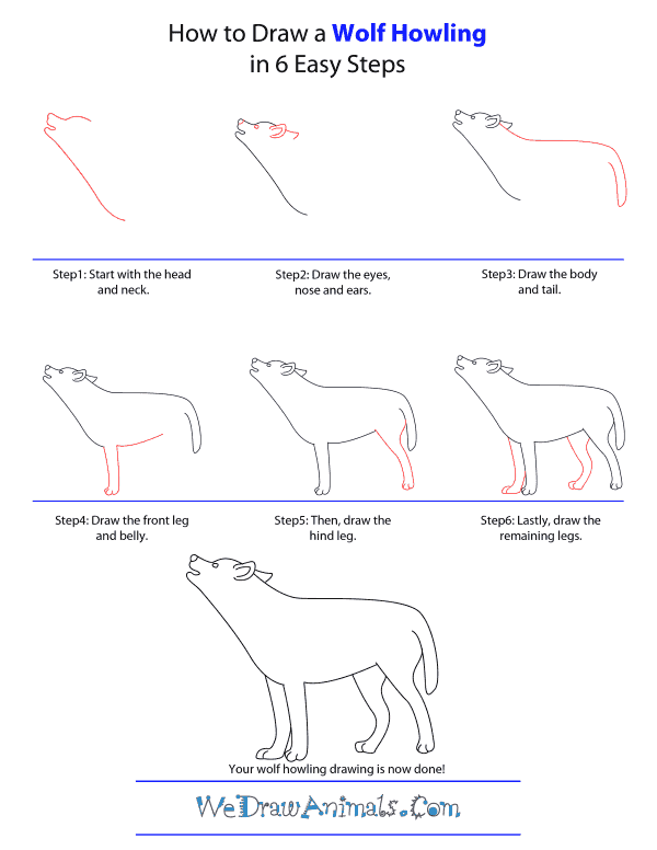 600x776 How To Draw A Wolf Howling - Howling Wolf Drawing Tutorial