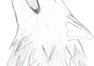 300x210 howling wolf drawing tutorial wolf howling - Howling Wolf Drawing Tutorial