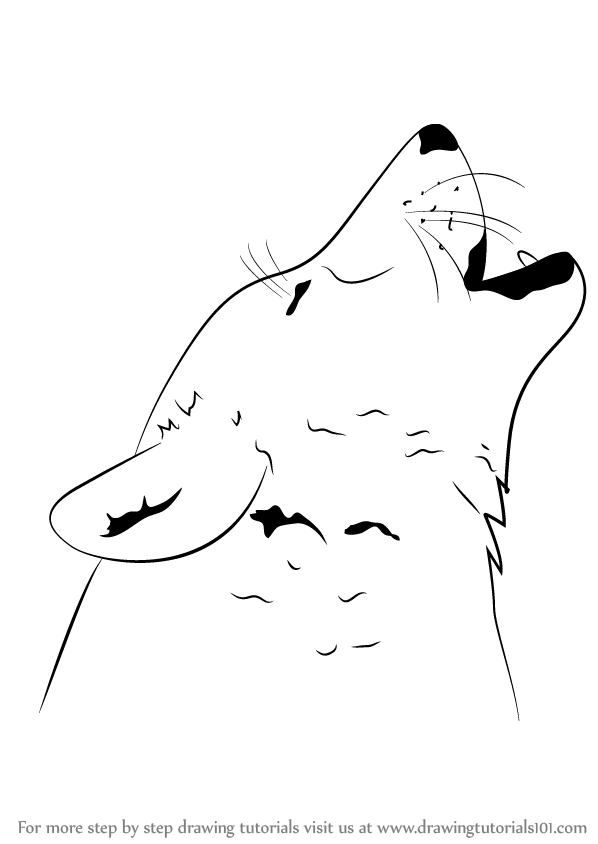 598x844 Learn How To Draw A Wolf Howling - Howling Wolf Drawing Tutorial