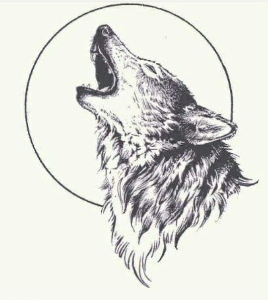 540x603 Howling Wolf Head Tattoo Design Sample - Howling Wolf Head Drawing