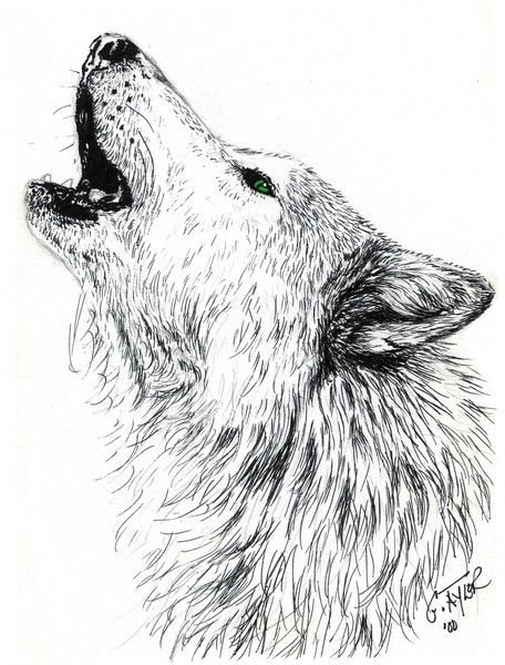 456x600 Pin On Howl - Howling Wolf Head Drawing