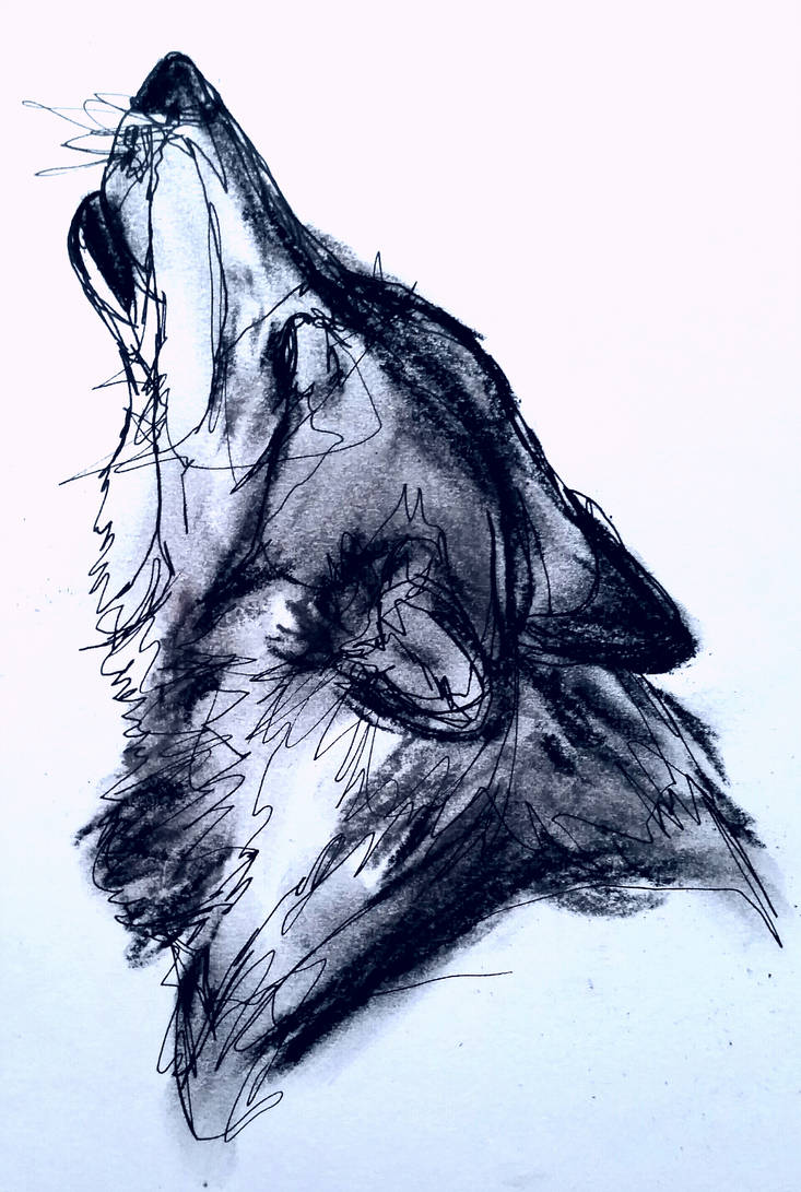 733x1091 Howling Wolf Head - Howling Wolf Head Drawing