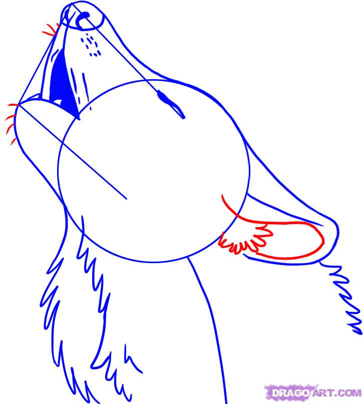 727x806 How To Draw A Howling Wolf, Step - Howling Wolf Head Drawing