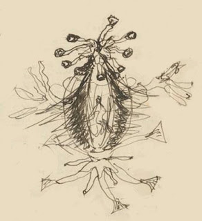 292x320 Alien Explorations H P Lovecraft's Illustrations - Hp Lovecraft Drawings