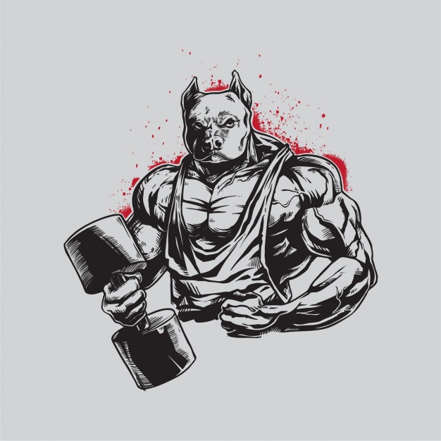 626x626 Logo Gym Vectors, Photos And Free Download - Hulk Logo Drawing