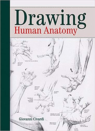 365x499 Drawing Human Anatomy Giovanni Civardi - Human Anatomy Drawing