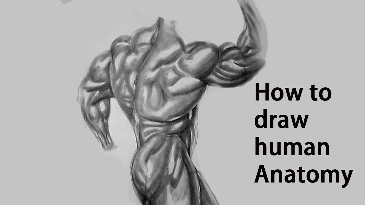1280x720 How To Draw Human Figure Easy Human Anatomy - Human Anatomy Drawing