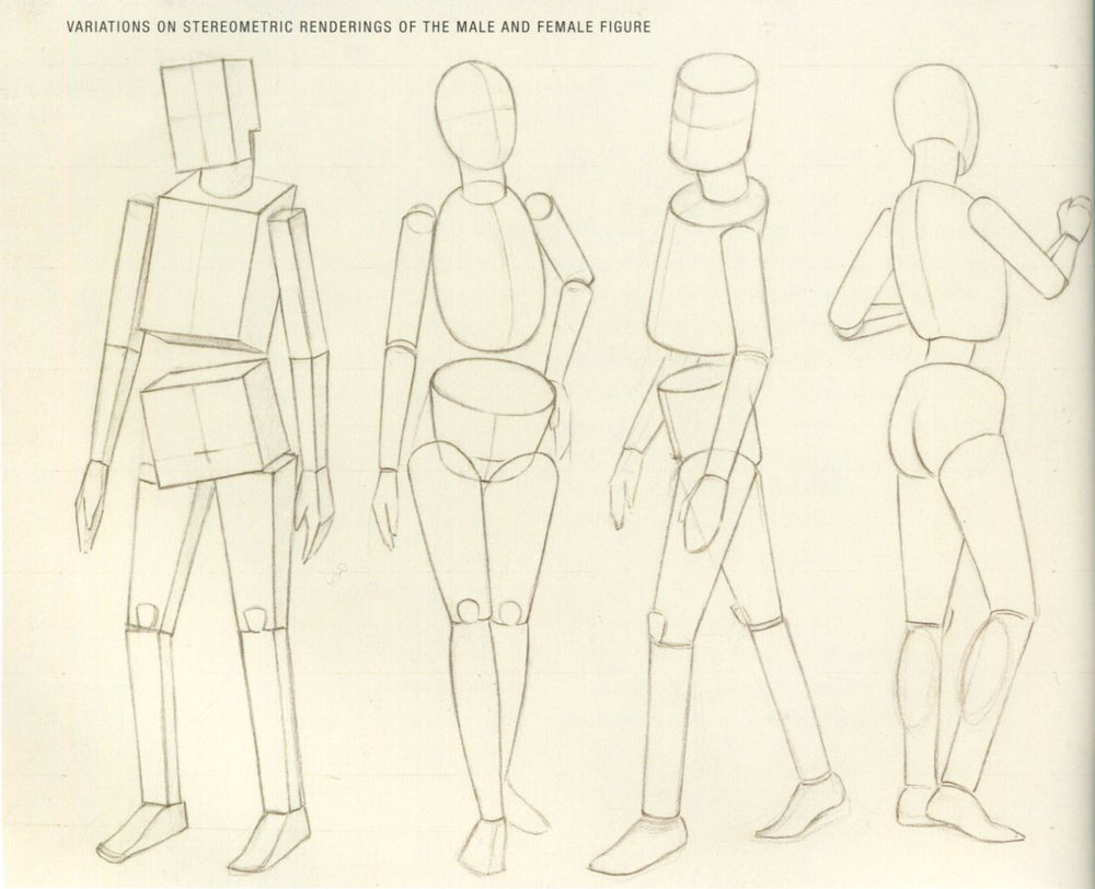 1000x812 Basic Human Anatomy Alex Escobar Art Animation - Human Anatomy Drawing