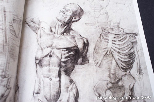 500x332 Book Review - Human Anatomy Drawing