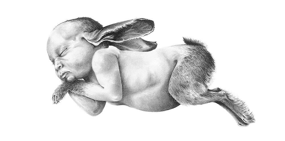 1000x495 Bizarre Graphite Drawings Of Baby Animals - Human Animal Hybrid Drawing