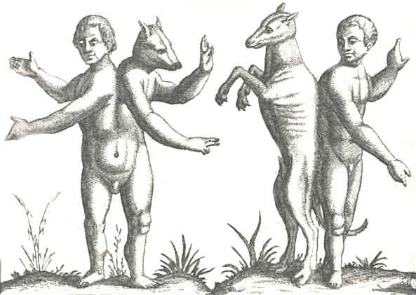 593x421 Dog Human Conjoined Twins - Human Animal Hybrid Drawing