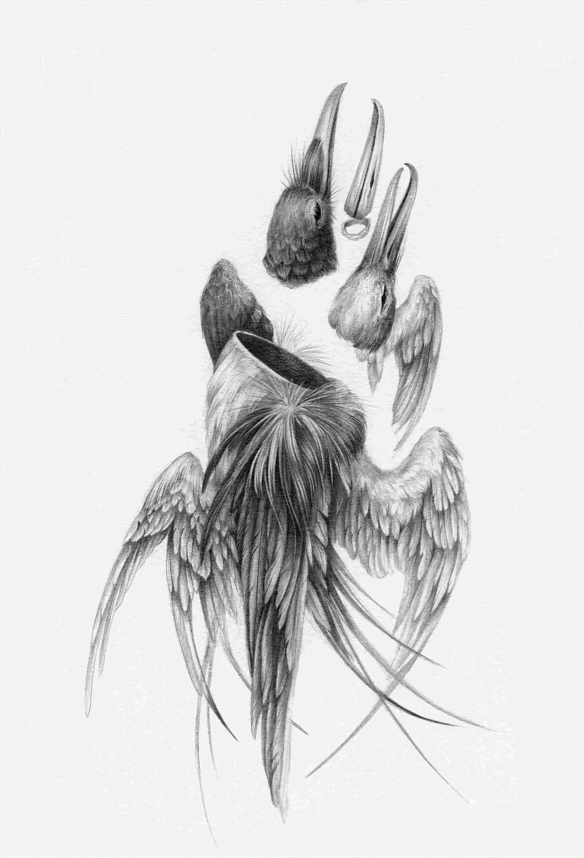 1899x2791 S About Healing Rhthisiscolossalcom Haunted Human Animal Hybrid - Human Animal Hybrid Drawing