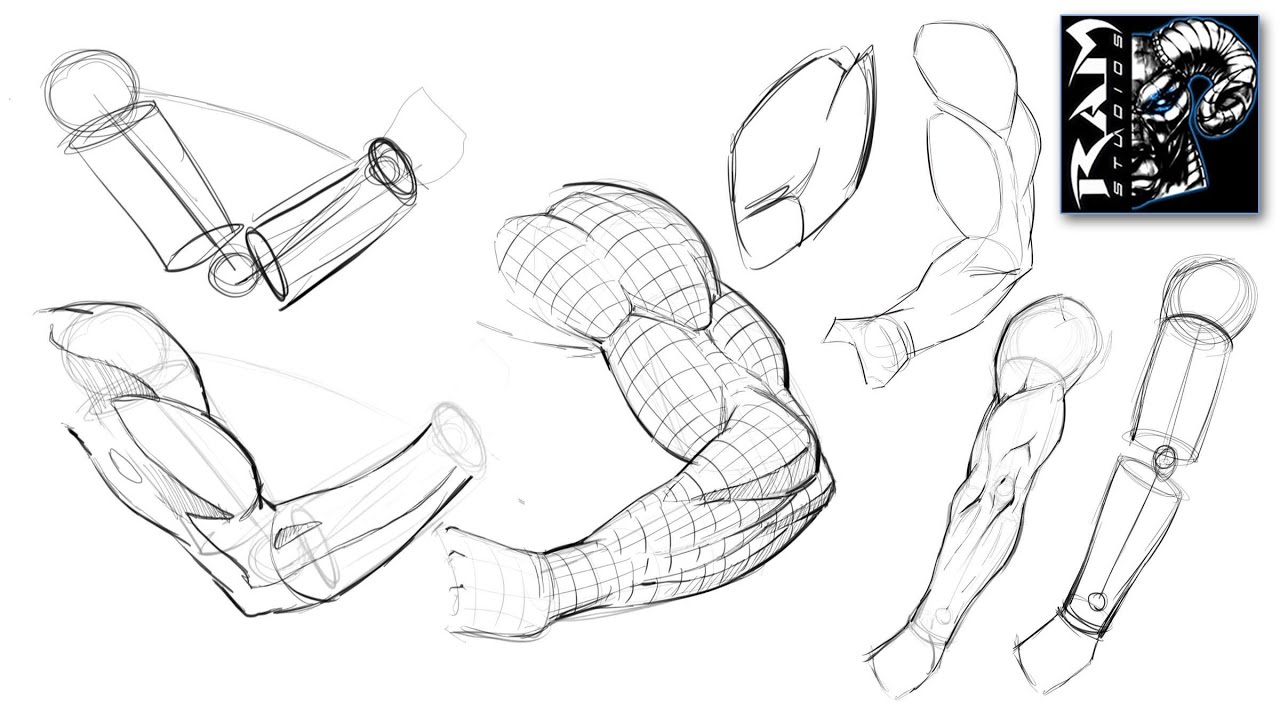 1280x720 How To Draw Arms Step - Human Arm Drawing