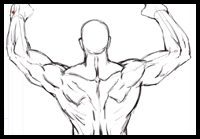 200x139 How To Draw Human Backs And Shoulders With Drawing Tutorials - Human Back Drawing