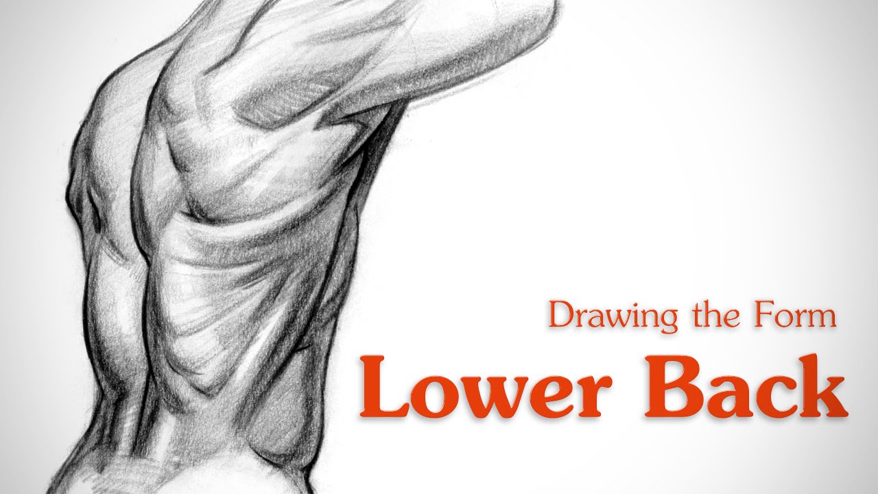 1280x720 How To Draw Lower Back Muscles - Human Back Drawing