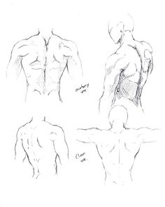 236x295 Best Draw Human Back Images Body Reference, Drawing Tutorials - Human Back Drawing