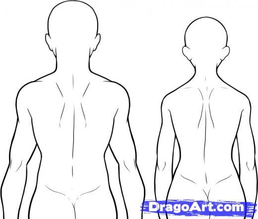 520x440 Draw Human Back Drawings, Back Drawing, Drawing People - Human Back Drawing