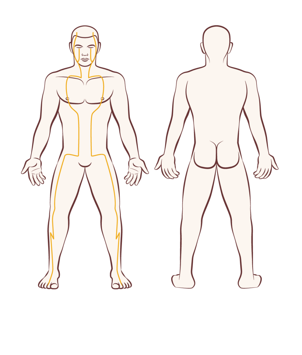 Туловище человека. Тело человека. Фигура человека. Человеческое тело.