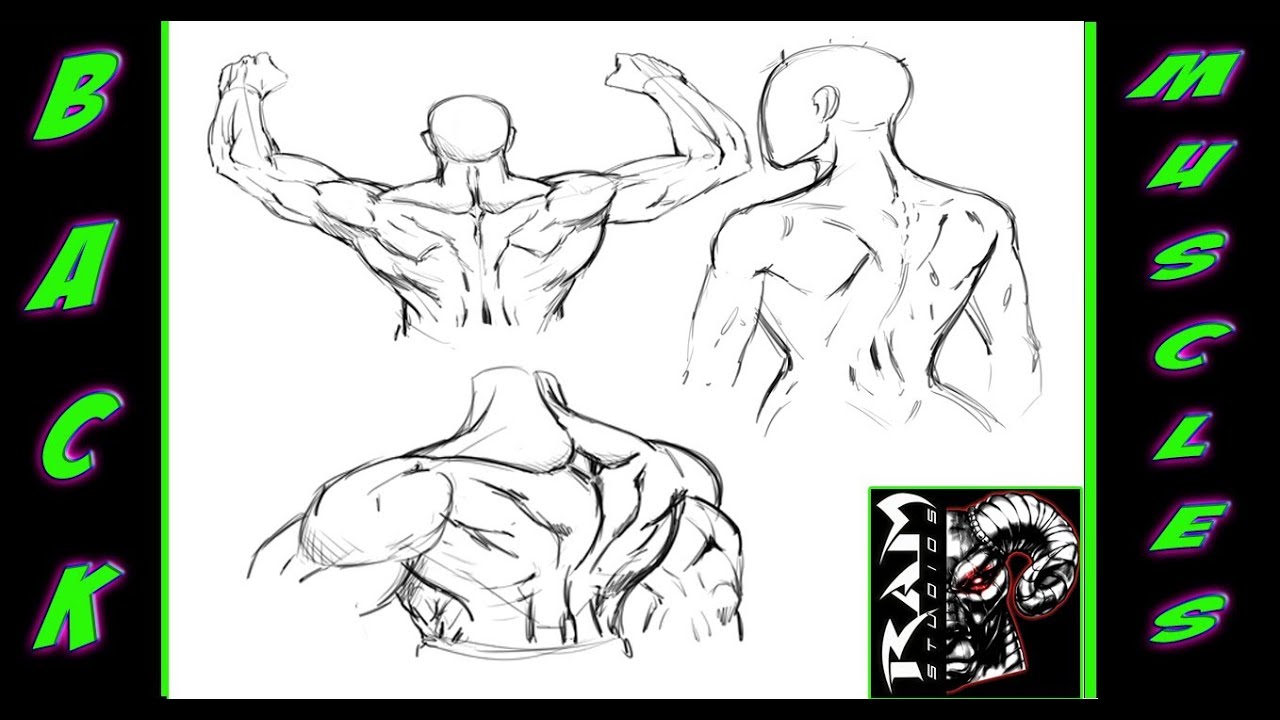 1280x720 Drawing Anatomy - Human Back Drawing