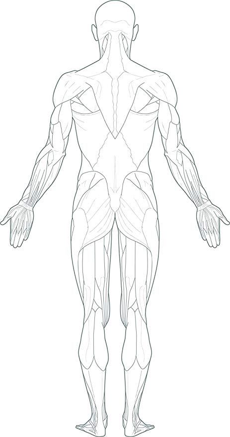 How To Draw Human Body Outline How To Draw Step By Step