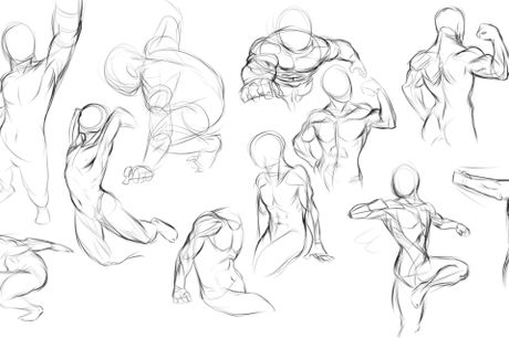 460x306 Draw Human Anatomy - Human Body Anatomy Drawing