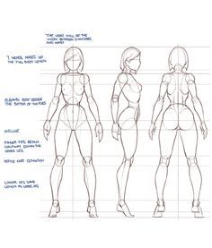 236x277 Female Anatomy Study Of Drawing Lesson And Tutorials With Video - Human Body Anatomy Drawing