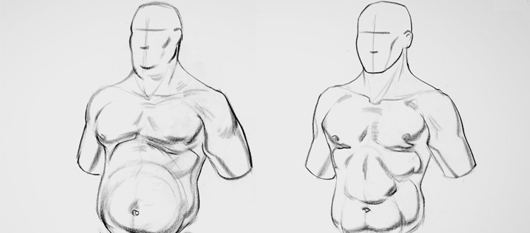 750x330 Review Proko Anatomy Of The Human Body Premium Course - Human Body Anatomy Drawing