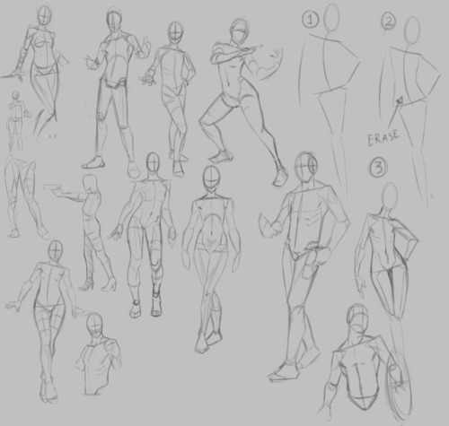 500x475 Human Anatomy Tumblr - Human Body Anatomy Drawing