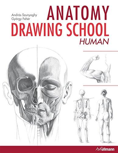 388x500 Anatomy Drawing School Human Body - Human Body Anatomy Drawing