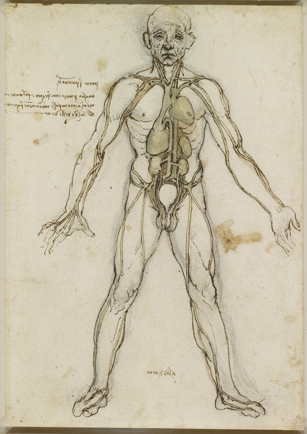 626x883 A Rare Glimpse Of Leonardo Da Vinci's Anatomical Drawings Brain - Human Body Anatomy Drawing