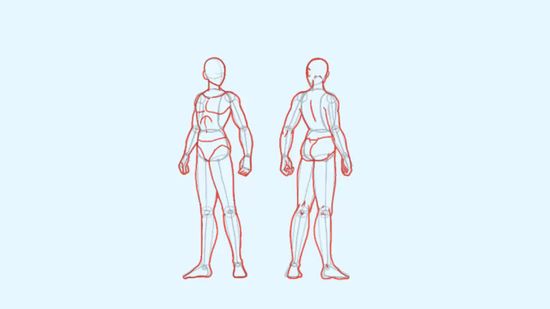 science body drawing