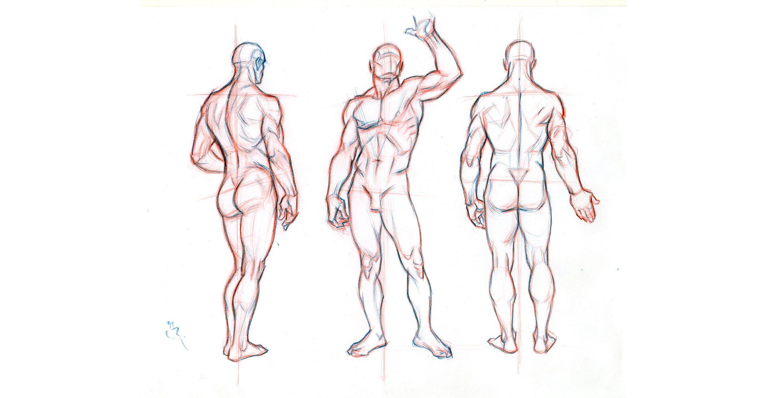 2500x1300 Guide Importance Of Proper Body Proportions And How - Human Body Drawing