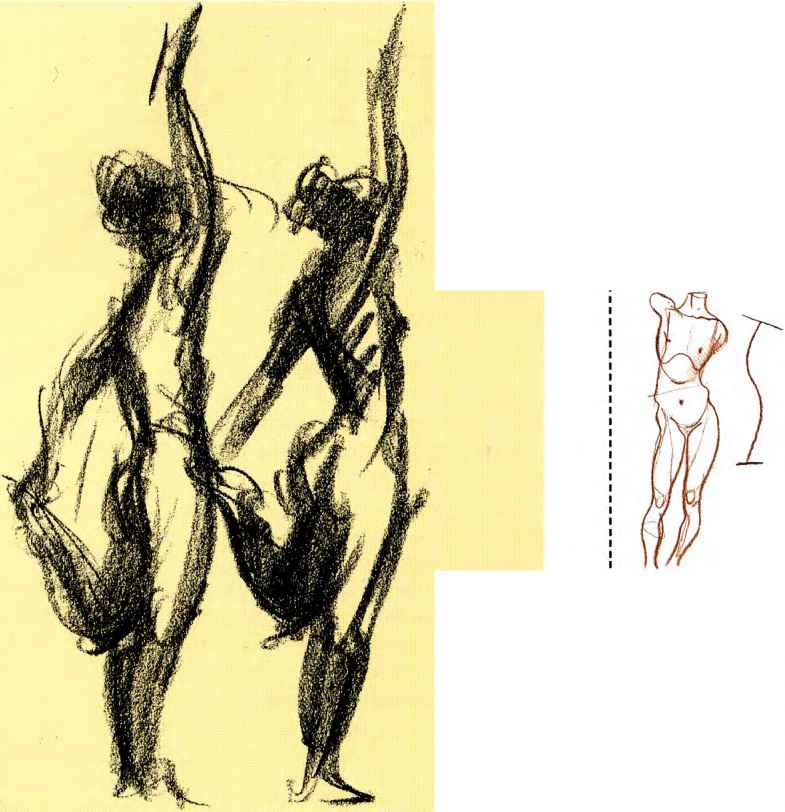 785x812 The Line Of Action Or Strength - Human Body Line Drawing