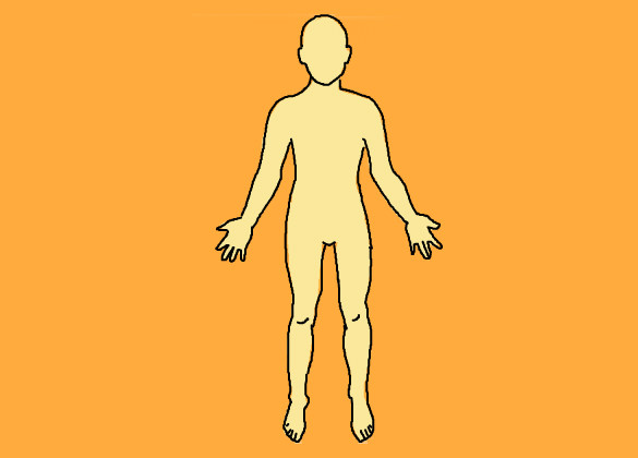 Human Body Outline Drawing