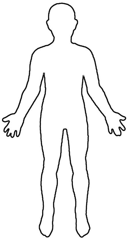 459x828 Cliparts - Human Body Outline Drawing