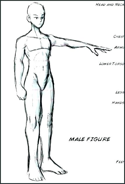 428x628 Human Body Outline Face Template Figure Printable Drawing Fashion - Human Body Outline Drawing