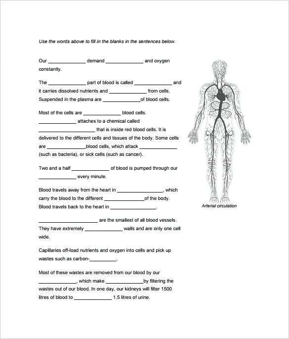 585x685 Human Body Outline Templates Doc Free Premium Classroom Template - Human Body Outline Drawing