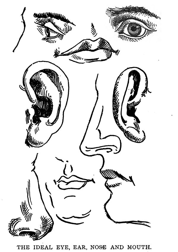 600x846 Drawing The Human Body Figure - Human Body Parts Drawing