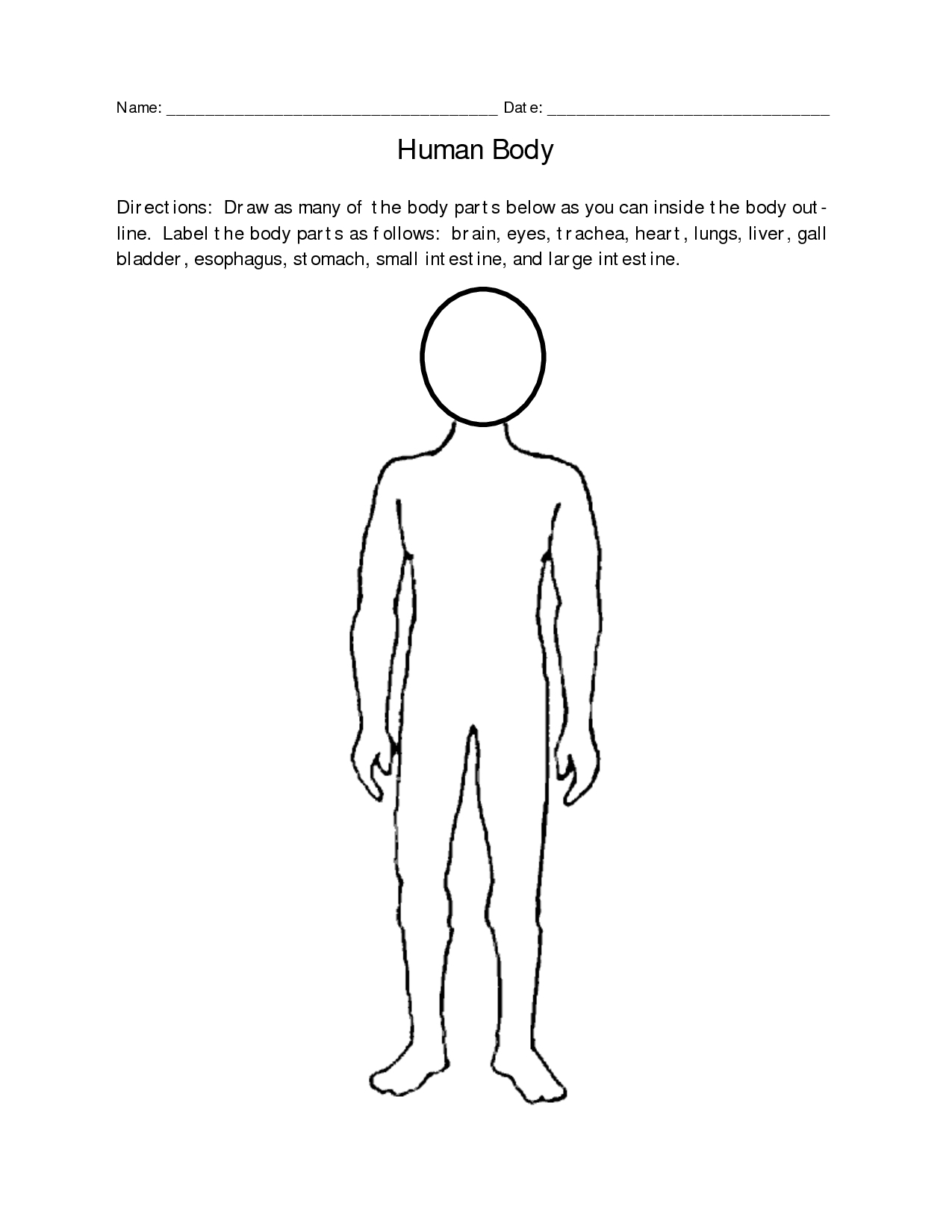 1275x1650 Organ Drawing Free Download - Human Body Parts Drawing
